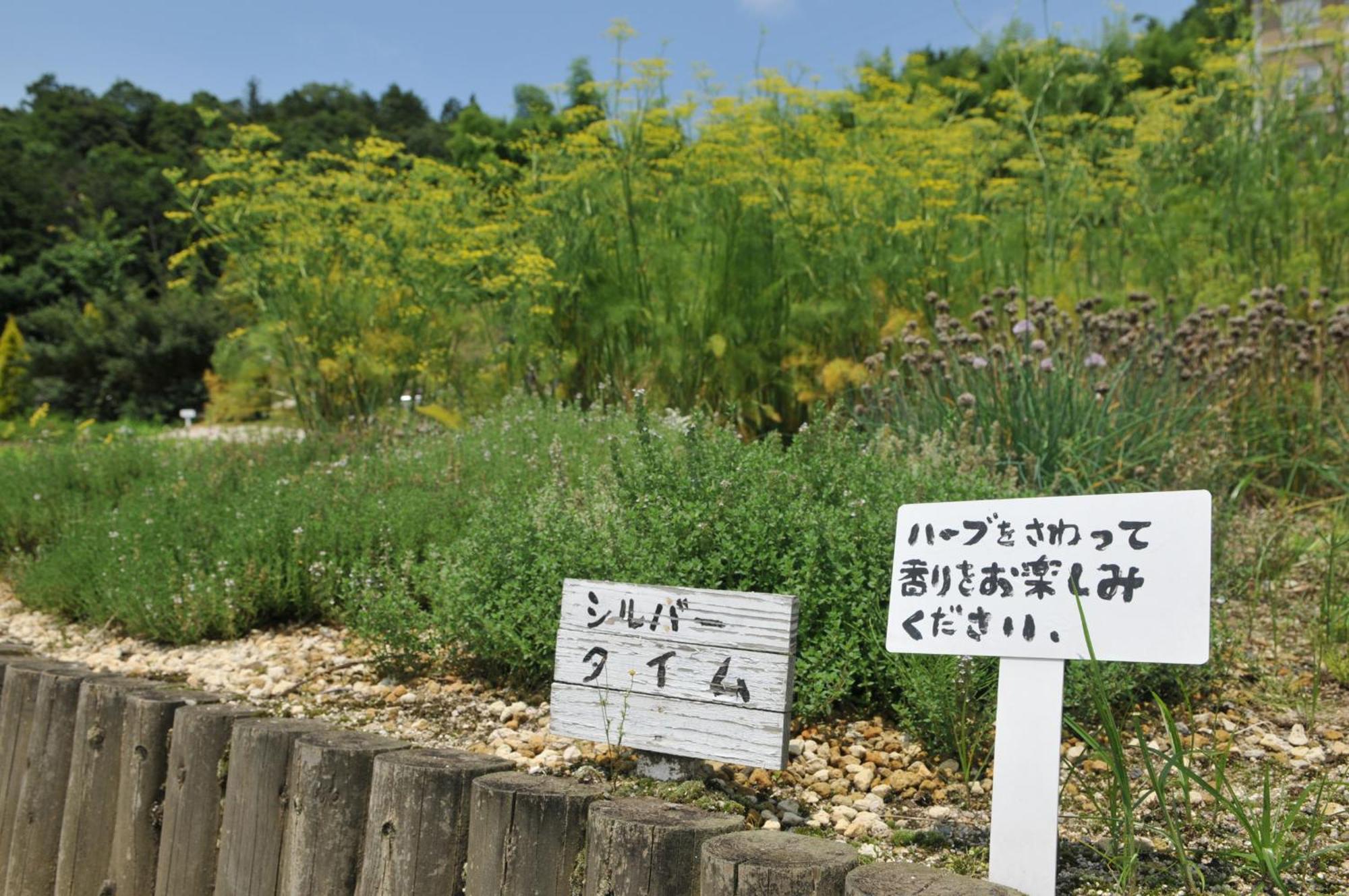 Hashidate Bay Hotel Yosano Luaran gambar